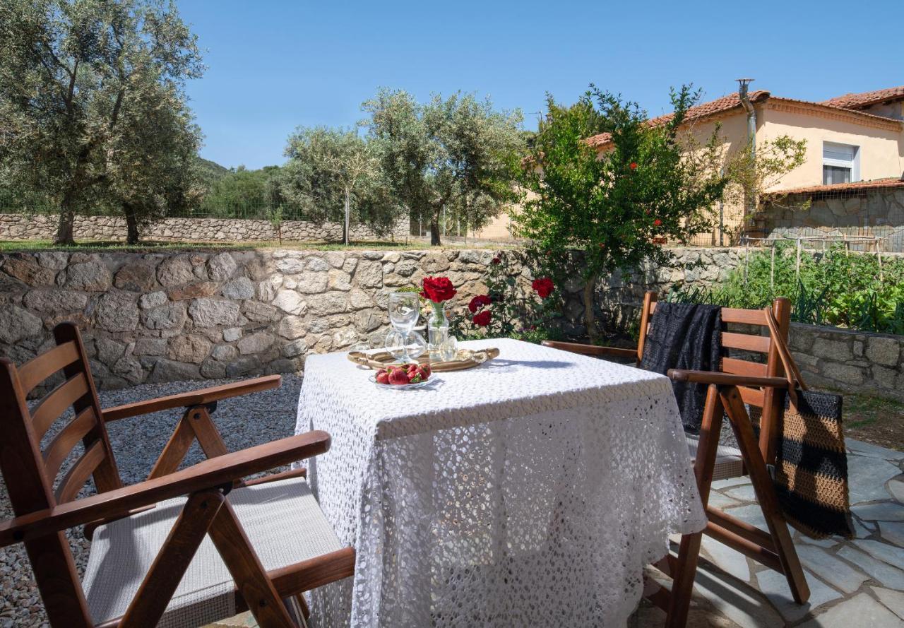 Villa Tsitreli Sykia Chalkidikis Exterior photo