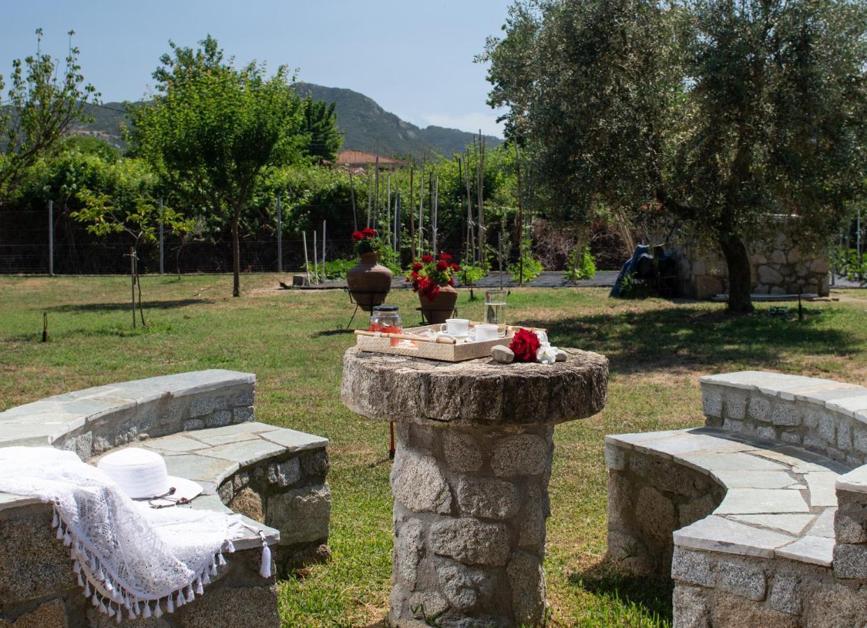 Villa Tsitreli Sykia Chalkidikis Exterior photo