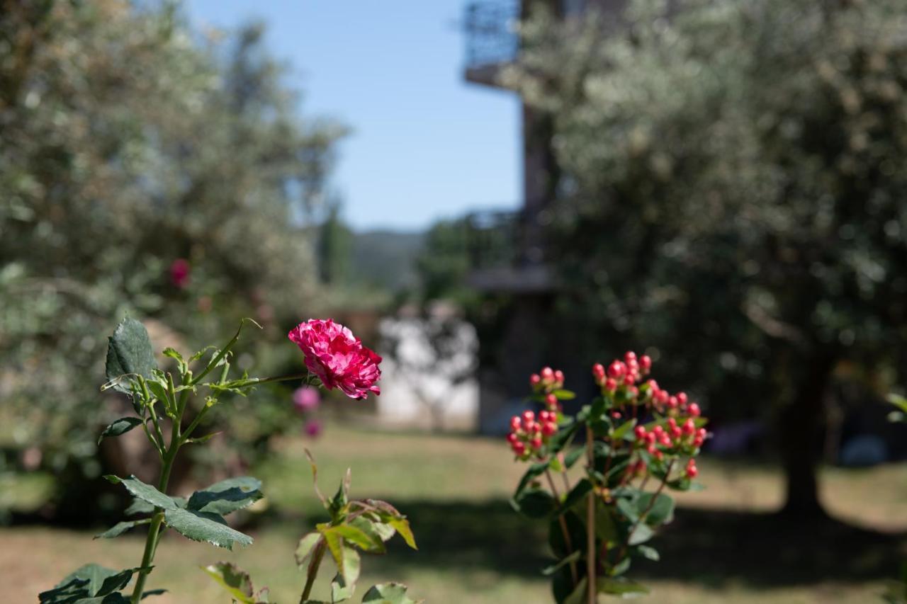 Villa Tsitreli Sykia Chalkidikis Exterior photo
