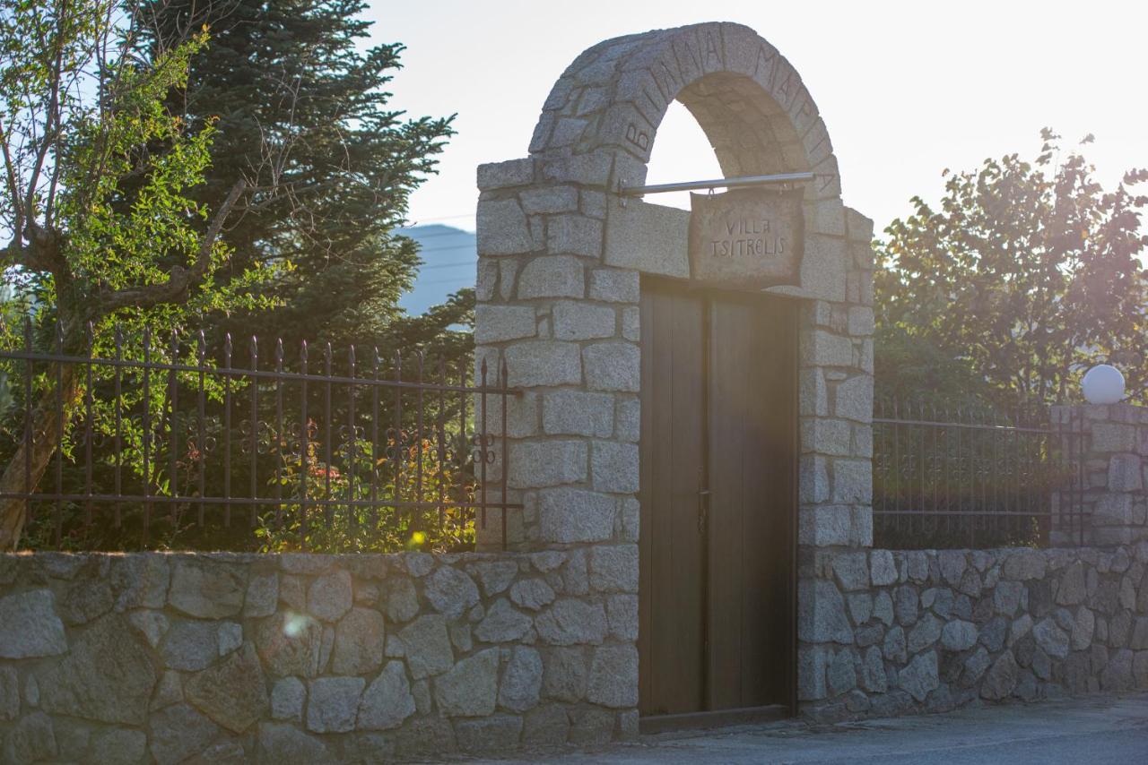 Villa Tsitreli Sykia Chalkidikis Exterior photo